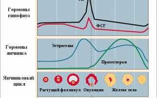 Анализ гормонов при бесплодии: полный список и объяснение каждого анализа