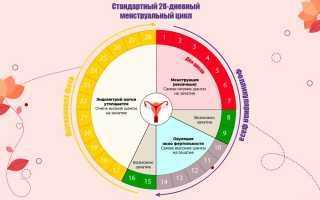 Причины и как преодолеть длительность менструального цикла в 18 дней