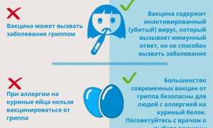 Обязательна ли прививка от гриппа?