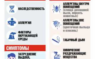 Симптомы, причины, диагностика и методы лечения бронхиальной астмы