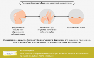 Применение Контрактубекса во время беременности – показания и противопоказания