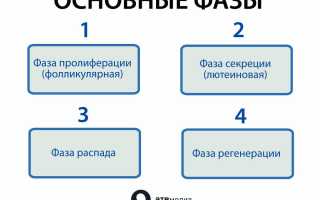 10 эффективных способов ускорить наступление месячных быстро и эффективно