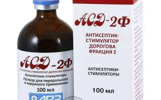 Эффективность и рекомендации применения АСД для лечения герпеса