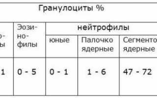Важная информация о нормальных значениях уровня лейкоцитов в анализе крови