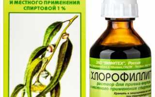 Изучение эффективности хлорофиллипта в лечении и профилактике молочницы.