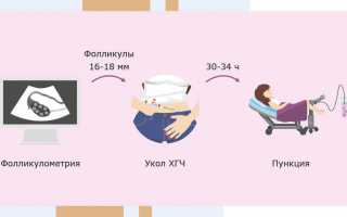 Как использовать народные средства для лопнутых фолликулов и достичь эффективности?