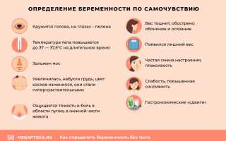 Признаки и методы определения беременности – как распознать, что ваша мама ожидает ребенка.