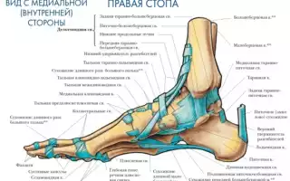 Что делать с болью в пятке по утрам