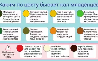 Как определить нормальный кал у новорожденного и какие изменения следует обратить внимание?