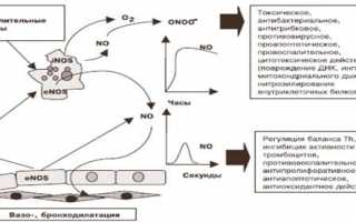 Особенности и использование закиси азота (оксида азота).