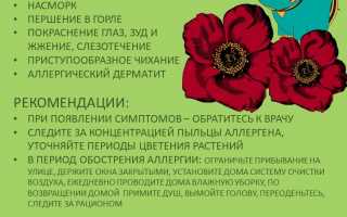 Причины, симптомы и лечение аллергии на кактусы.