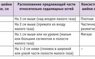Использование и интерпретация шкалы Бишопа в акушерстве. Описание метода оценки готовности шейки матки к родам.