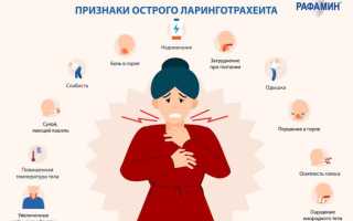 Ранние признаки ларинготрахеита у взрослых