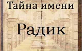 Происхождение и значение имени Радик – исторический аспект