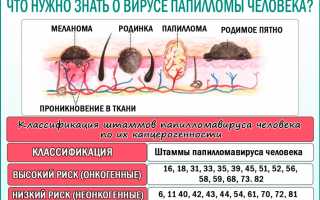Описание и рекомендации по проведению мазка по Папаниколау: методика и особенности использования.