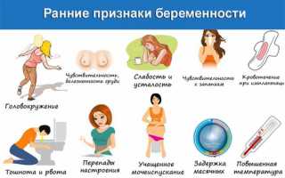 7 способов и ранние признаки беременности до задержки: как узнать о беременности на самых ранних стадиях