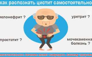 Цистит и пиелонефрит: отличия в проявлении симптомов и лечении