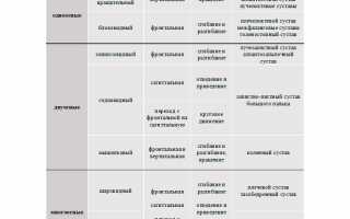 Классификация суставов: основные принципы и движения