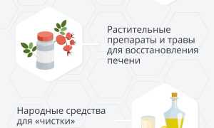 Чем лечить печень: медикаментозные и народные средства