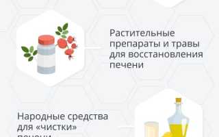 Чем лечить печень: медикаментозные и народные средства