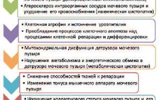 Пояснения о никтурии и эффективные методы лечения