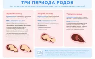 Какие основные обследования необходимо пройти после родов? Составляем список процедур