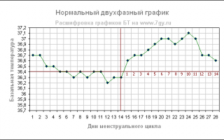 Важная информация о разнице между базальной температурой и температурой тела