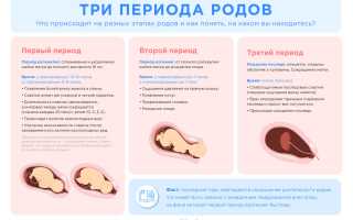 Этапы и образец составления плана родов: основные шаги для подготовки к родительству