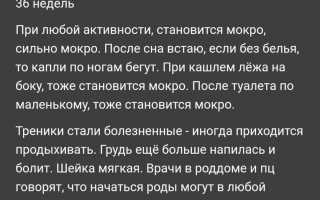 Мокрые трусы во время беременности: почему это происходит и как решить проблему?