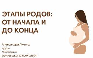 Подробное видео и инструкции для женщин: основные этапы процесса родов
