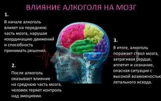 Как алкоголь воздействует на мозг и вызывает симптомы опьянения
