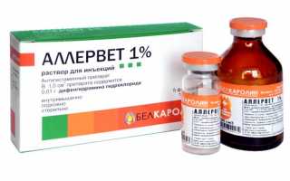 Применение, дозировка, показания и противопоказания препарата Аллервет: указания для использования.