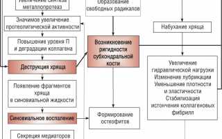Деформирующий остеоартроз: причины, симптомы и эффективные методы лечения этого заболевания