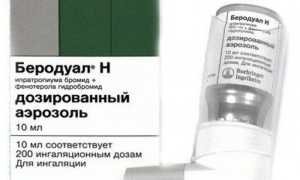 Чем лечить бронхиальную астму: лучшие средства
