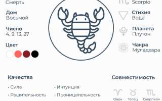 Первые признаки и символы рождения скорпиона: что говорит народная мудрость о данном событии