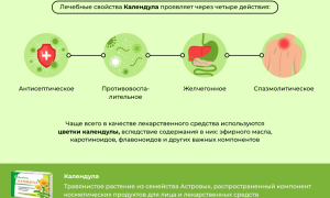 От чего помогает календула