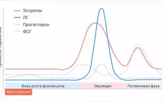 В каких случаях женщины могут забеременеть после отмены Дюфастона?