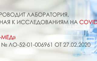Значение исследования антител полного суммарного антипаллидума – методы и значения