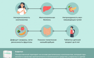 Влияние Хофитола на организм в состоянии употребления алкоголя