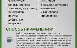 Преимущества и ограничения употребления брусничного листа во время беременности