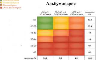 Микроальбумин в моче (микроальбуминурия): норма, расшифровка, причины, как правильно собрать и сдать анализ
