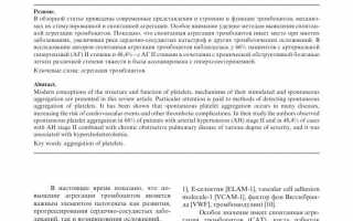 Основные принципы и применение агрегации – понимание сути и механизма работы