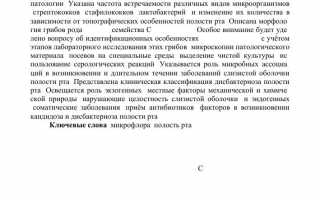 Объяснение бластоспор в мазке: их роль в микрофлоре и воздействие на организм