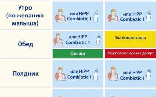 Как определить оптимальное количество пищи для новорожденных и покормить малыша правильно?