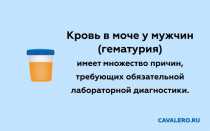 Почему моча с кровью у мужчин: причины, диагностика, лечение гематурии