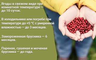 Польза брусники в лечении подагры: эффективные рецепты и рекомендации