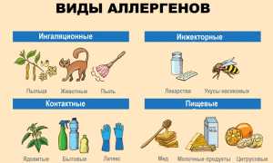 От чего бывает аллергия?