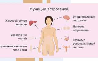 Влияние препарата пироксикам на организм и результаты процедуры на фоне экстракорпорального оплодотворения (ЭКО)