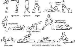 Лечение грыжи поясничного отдела позвоночника: эффективные упражнения и рекомендации для лечебной физкультуры