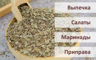 Простатит – эффективность и рекомендации по использованию семян укропа для лечения